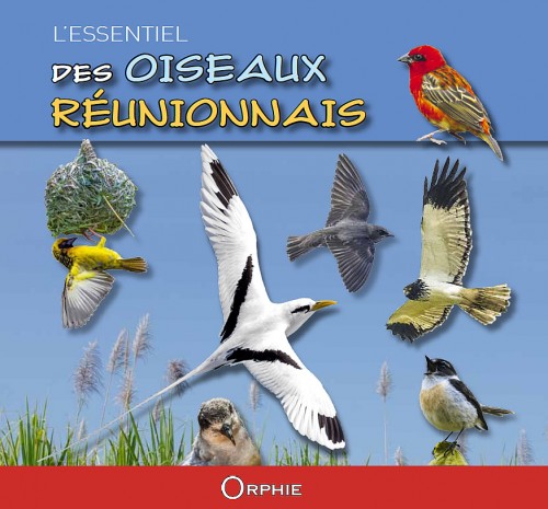 couverture du livre : l'essentiel des oiseaux réunionnais