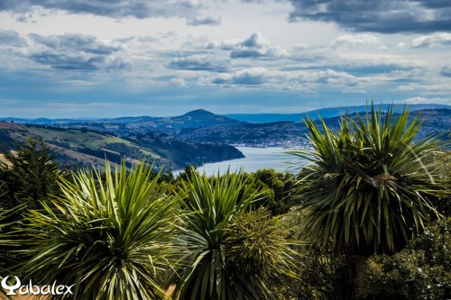 Péninsule de Otago - Dunedin