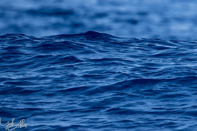 Le bleu en pleine mer (Océan Indien)