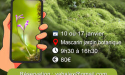 atelier photo avec smartphone 2026